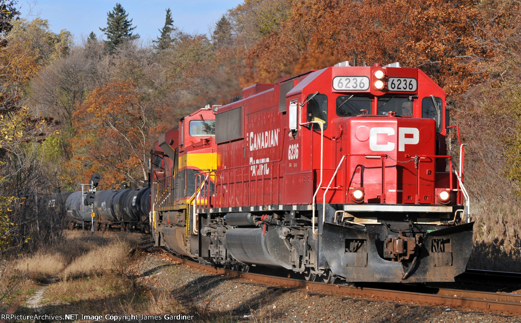 CP 646